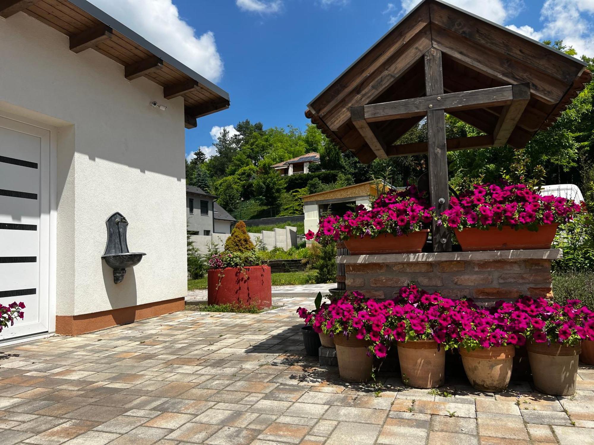 Bed and Breakfast Dreko Panzio & Borbisztro Gyorujbarat Экстерьер фото
